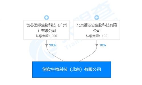 創宸生物獲創芯國際戰略加持，以類器官技術引領個體化醫療新紀元